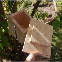 Hasselmus redekasse - Image 3