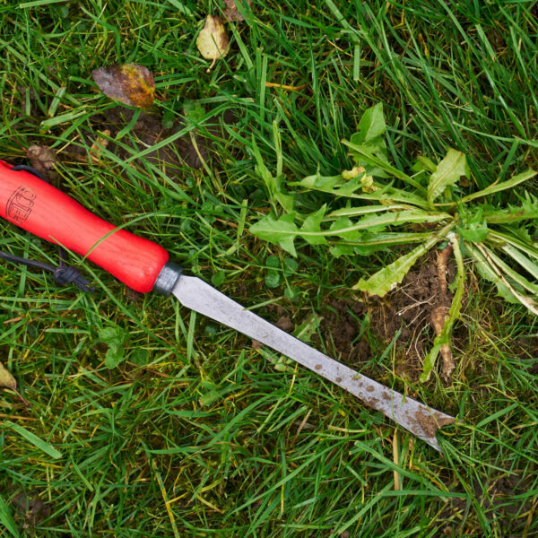 Felco 442 tidsel og mælkebøtte fjerner